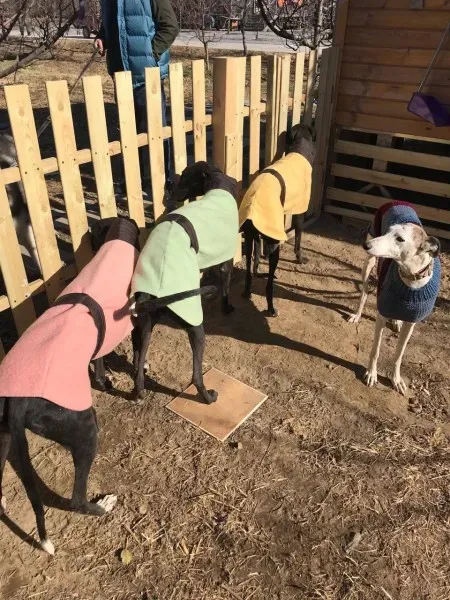 23760041 10159557329345006 1148573246 o 1