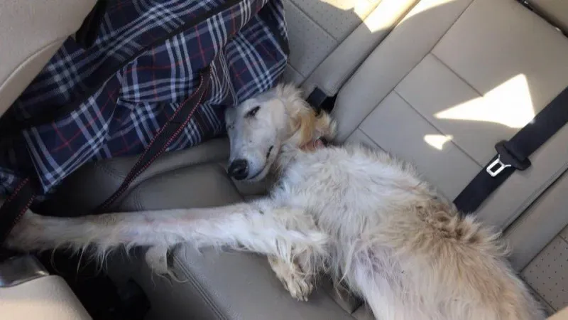 23795055 496250724094647 2425546686160725751 n