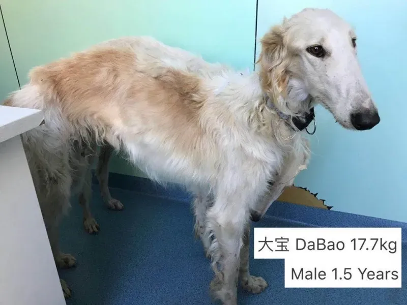 23843575 496250727427980 7461310955882895345 n