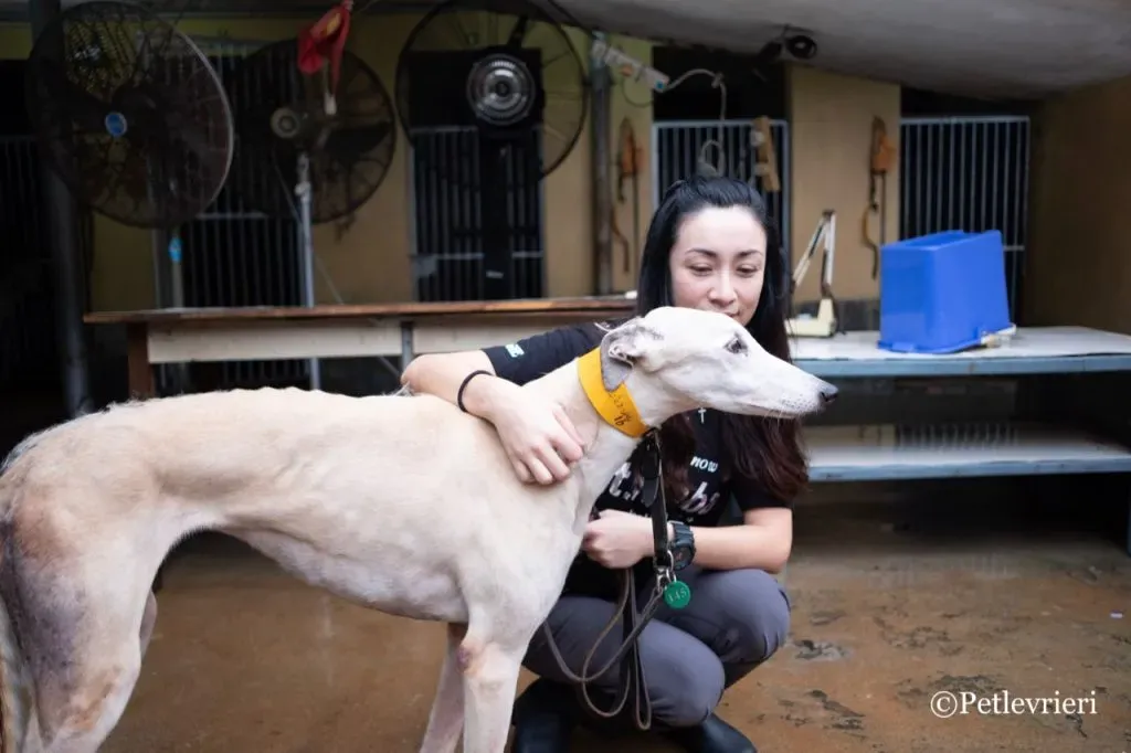 24 DSCF5566 1024x682