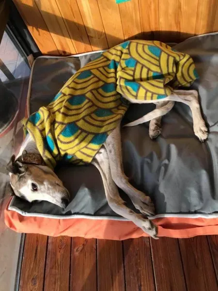 24008295 10212849114895197 902813423 o