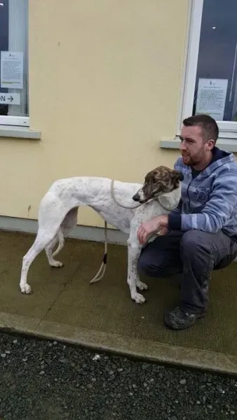 24020126 1581059781985619 1900761779 n