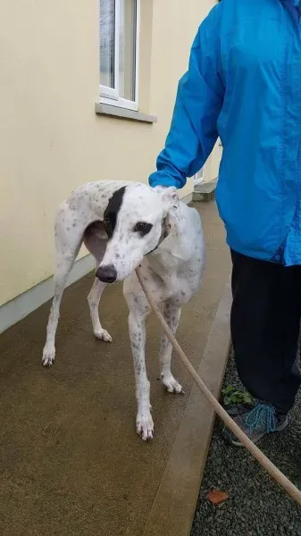 24115391 1581045708653693 128168417 o