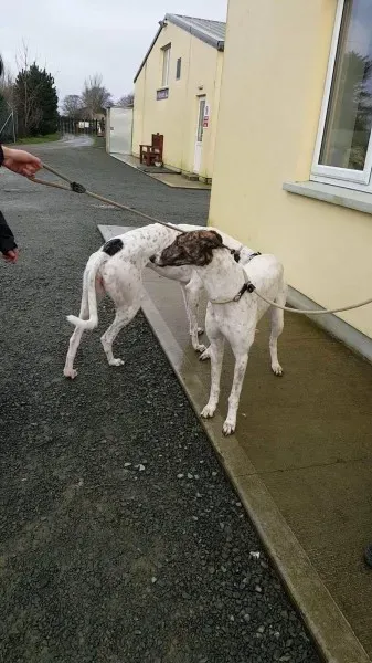 24115444 1581059838652280 118826896 o