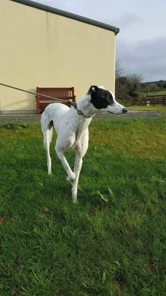 24115473 1581042635320667 605221909 o