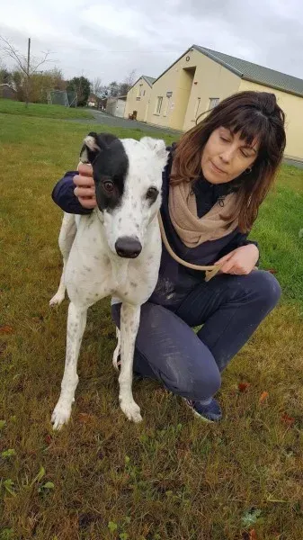 24115476 1581039025321028 65588327 o