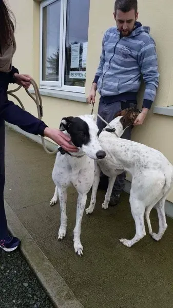 24115506 1581036438654620 955389040 o