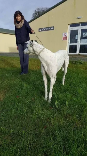 24115520 1581041018654162 1527492689 o