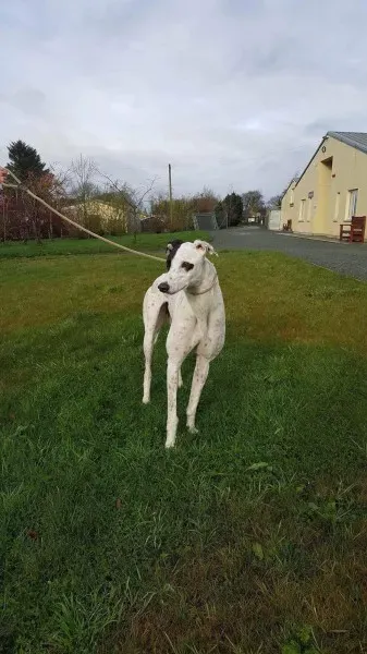 24115591 1581039505320980 1501686149 o