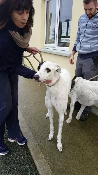 24115620 1581036518654612 1920842285 o