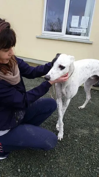 24116257 1581036415321289 1337128007 o