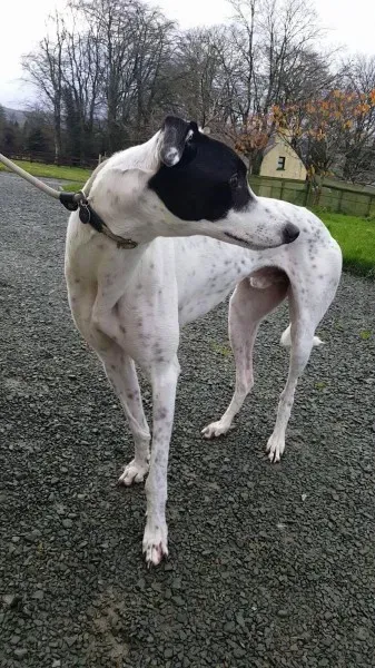 24116285 1581036615321269 1464640437 o