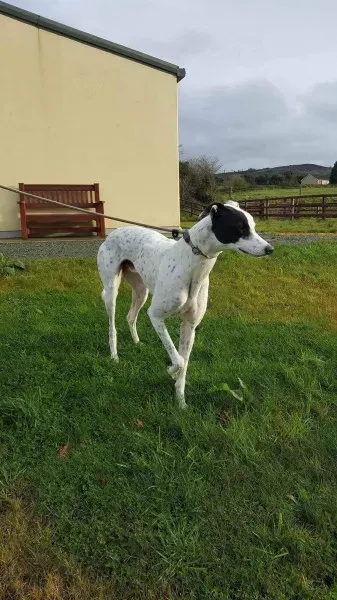 24116307 1581043341987263 1581545380 o