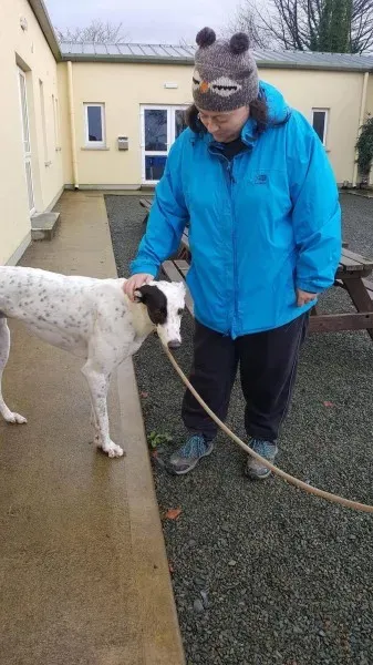 24116329 1581045718653692 2141329633 o