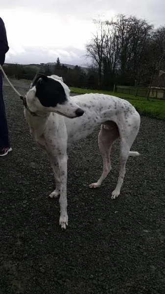 24116527 1581036805321250 1804295306 o