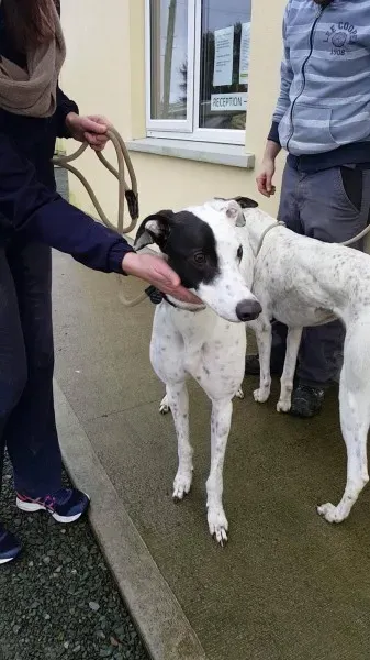 24116576 1581036558654608 912301510 o