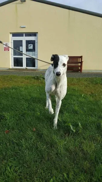 24116581 1581042111987386 1083623125 o