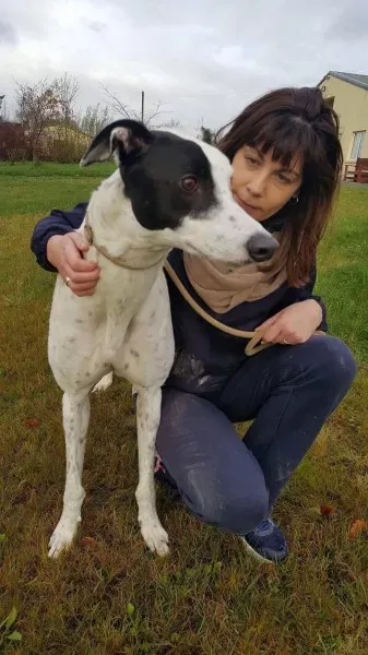 24116619 1581038678654396 952467944 o