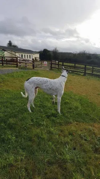 24116637 1581045478653716 715922831 o