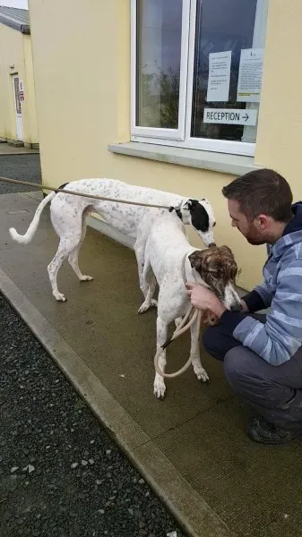 24138881 1581059571985640 911699810 o 1