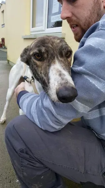 24138986 1581059648652299 2101470049 o