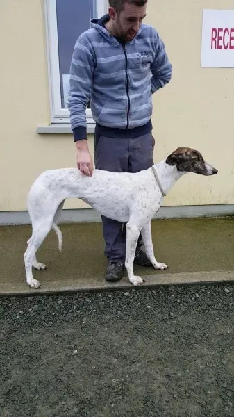 24139002 1581059711985626 1301160158 o