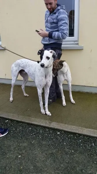 24139084 1581036478654616 979294329 o