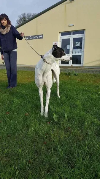 24139128 1581040651987532 651331175 o