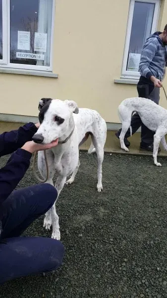 24139151 1581036395321291 208683214 o