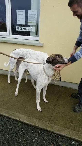 24139176 1581059805318950 1097711956 o