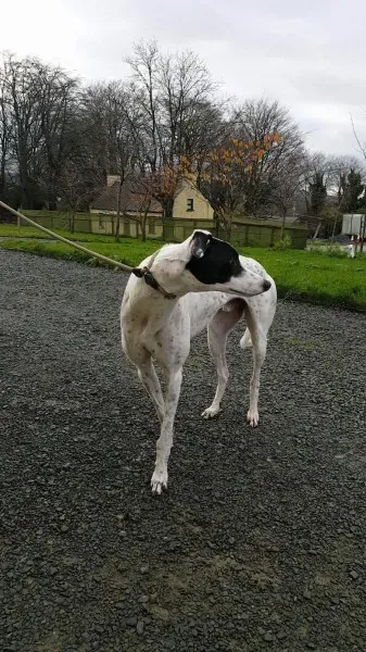 24139370 1581037205321210 1753771280 o