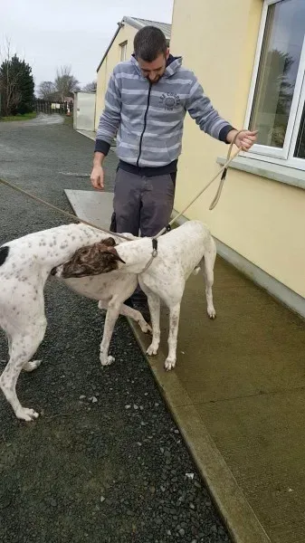 24139900 1581059848652279 9885343 o