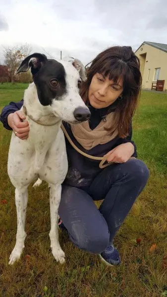 24140024 1581038185321112 1959867899 o