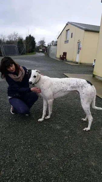 24140044 1581036368654627 570341499 o