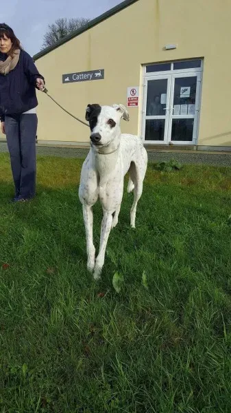 24140091 1581041428654121 1768988409 o