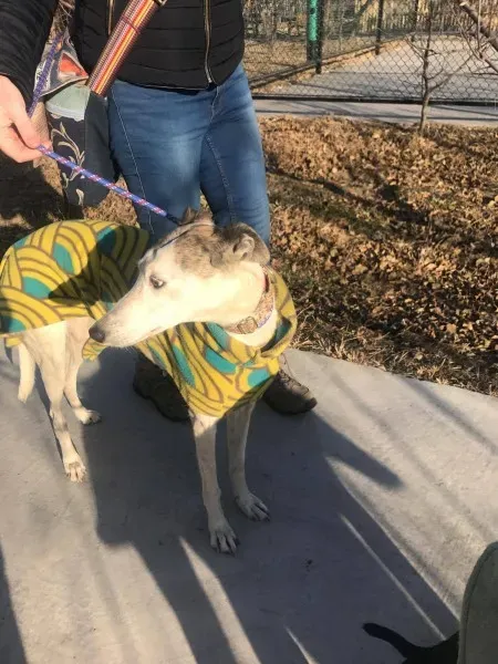 24167163 10212879211687598 940137937 o