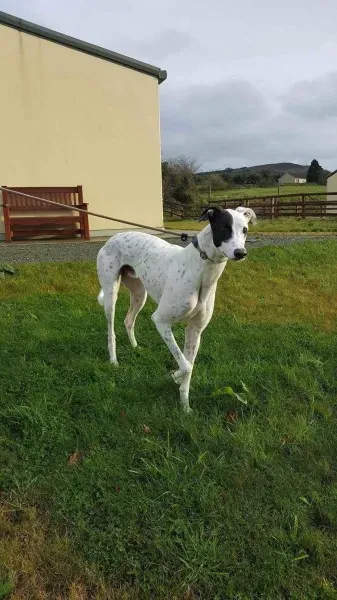 24169493 1581044995320431 552121096 o