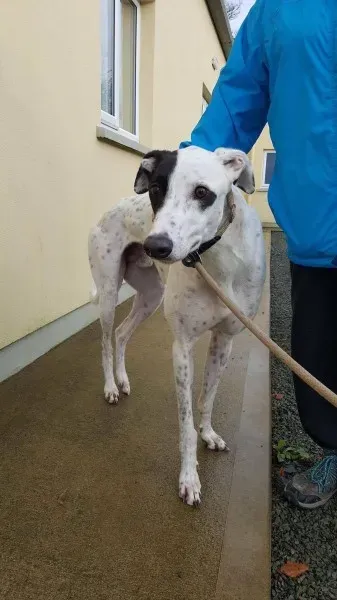 24169669 1581045685320362 1561099771 o