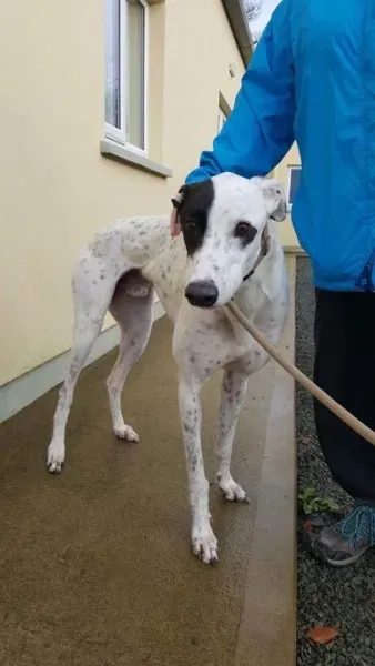 24172472 1581045695320361 928554435 n