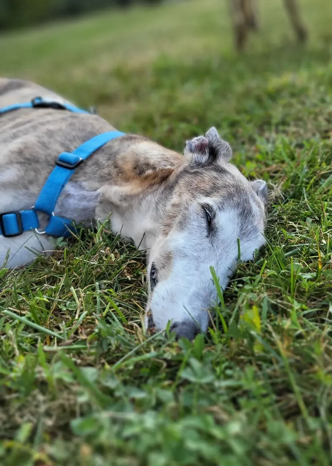 241743047 10216119224373031 8746133946292267450 n