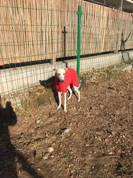 24209680 10212893710530060 2134094818 o