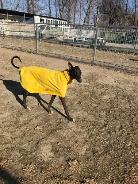 24209716 10212893711050073 1285389169 o