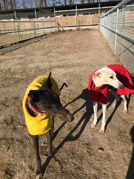 24209761 10212893706169951 1736359027 o