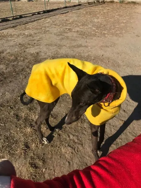 24209773 10212893706649963 425168014 o