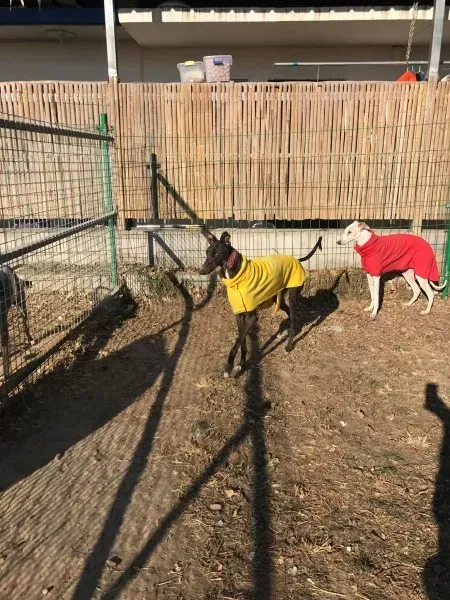 24209820 10212893710250053 289455752 o