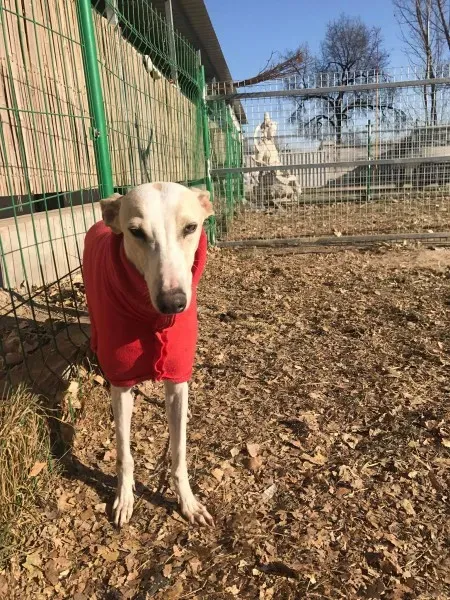 24210011 10212893706689964 230162296 o