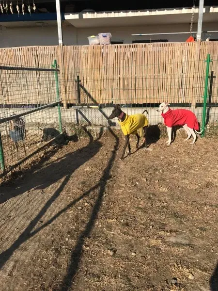 24210039 10212893710730065 1444100243 o 1