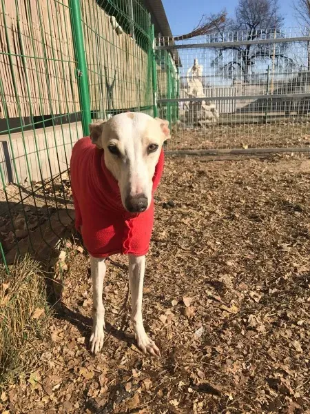 24250836 10212893708130000 1239326829 o