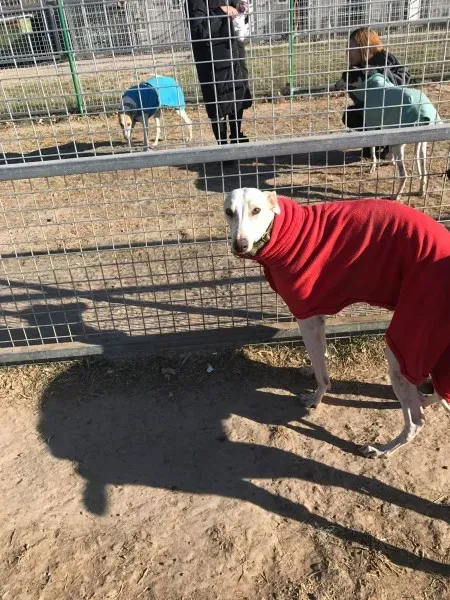 24250858 10212893712810117 866374996 o