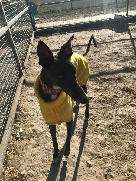 24250972 10212893711090074 1540796668 o